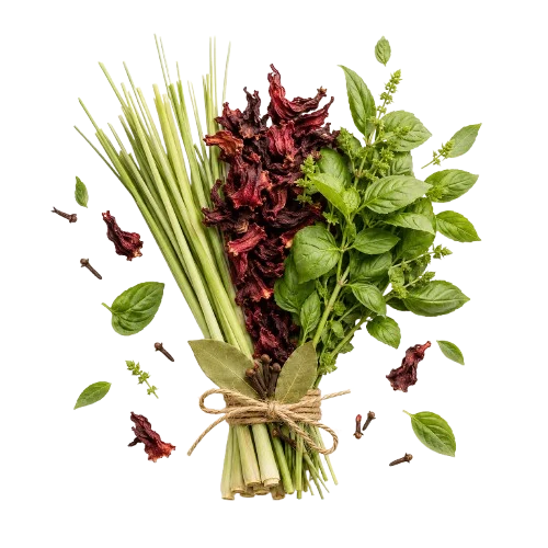 Gerbe des trois plantes BenDjo liée à la ficelle : citronnelle, hibiscus séché et basilic, avec clous de girofle et feuilles de laurier