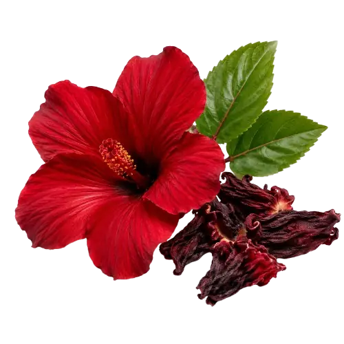Infusion Hibiscus BenDjo — Boîte de 10 sachets